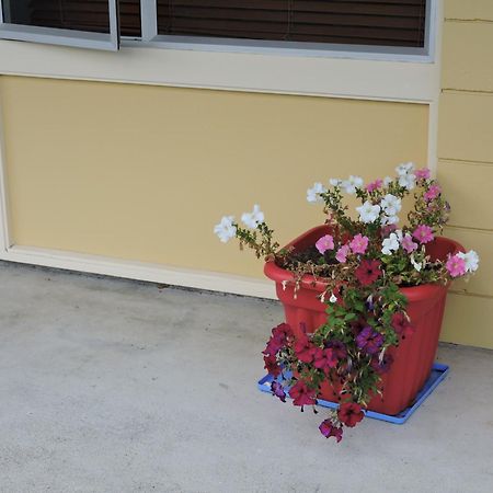 Maple Lodge Motel Matamata Zewnętrze zdjęcie