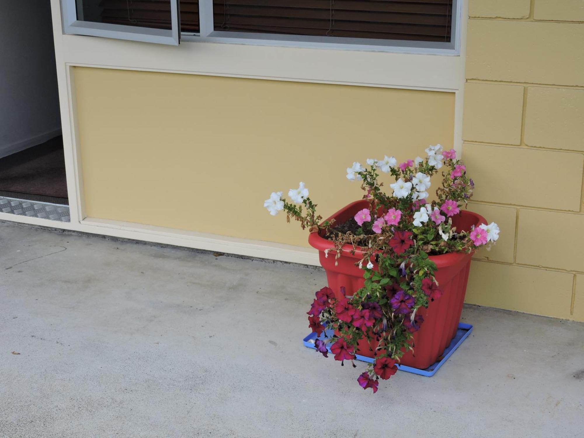 Maple Lodge Motel Matamata Zewnętrze zdjęcie